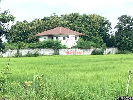 บ้านเดี่ยว บุรีรัมย์