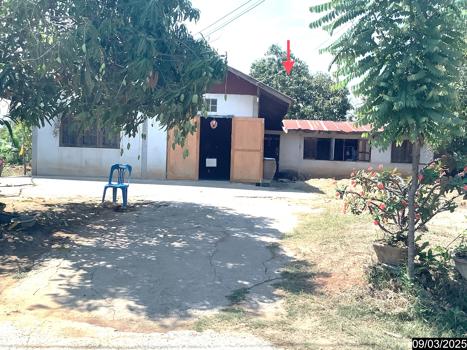 บ้านเดี่ยว นครราชสีมา