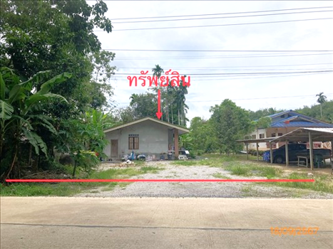 บ้านเดี่ยว สุราษฎร์ธานี