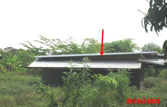 บ้านเดี่ยว ลำพูน