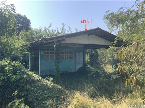 บ้านเดี่ยว ชัยนาท