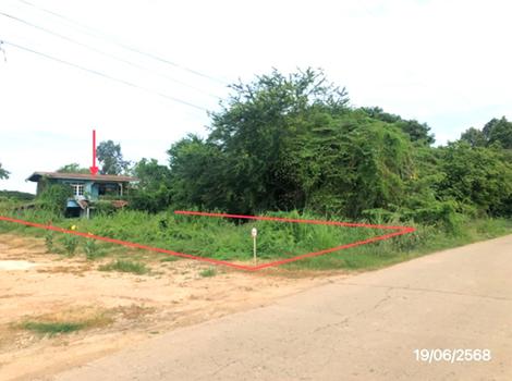 บ้านเดี่ยว พิจิตร
