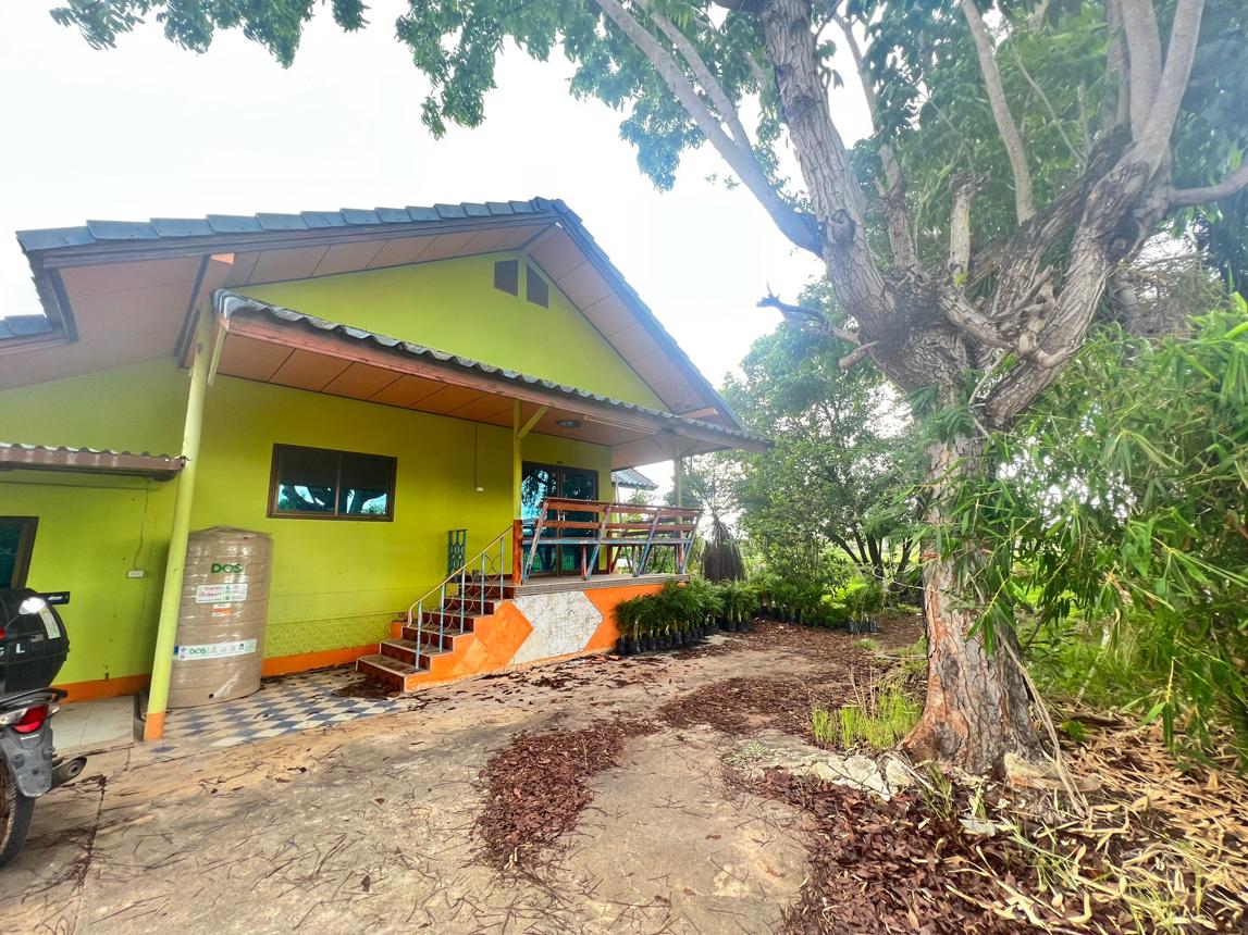 บ้านเดี่ยว นอกโครงการ รีสะเกษ พยุห์ ศรีสะเกษ