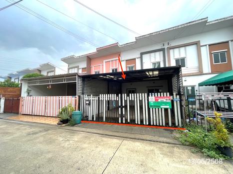 ไลโอ เพชรเกษม 81