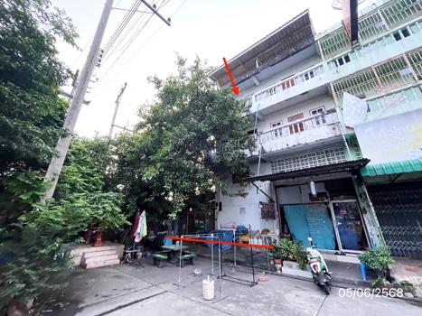 ตั้งพัฒนา
