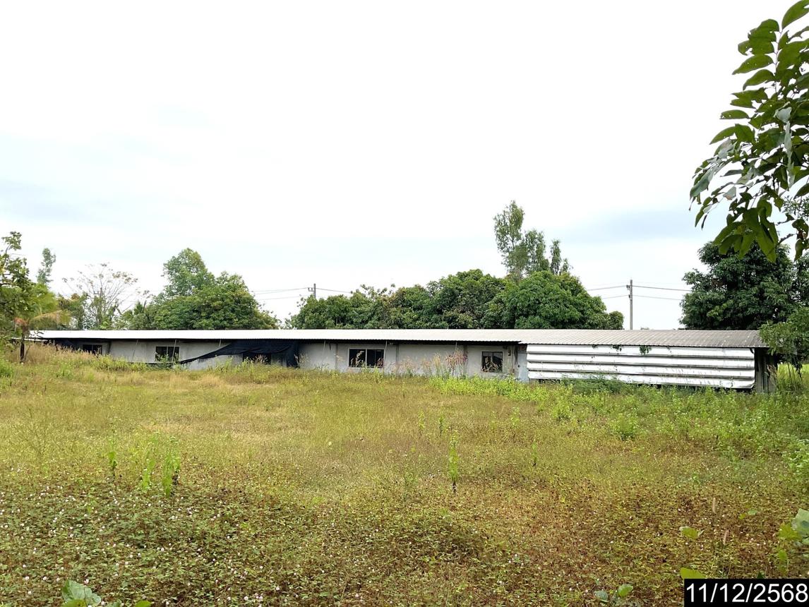 ฟาร์ม หนองวัวซอ อุดรธานี
