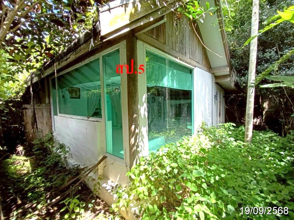 รีสอร์ท ปาย แม่ฮ่องสอน