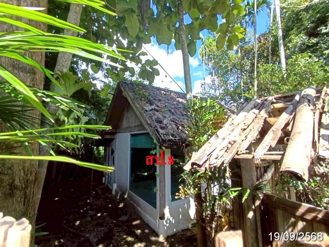 รีสอร์ท ปาย แม่ฮ่องสอน